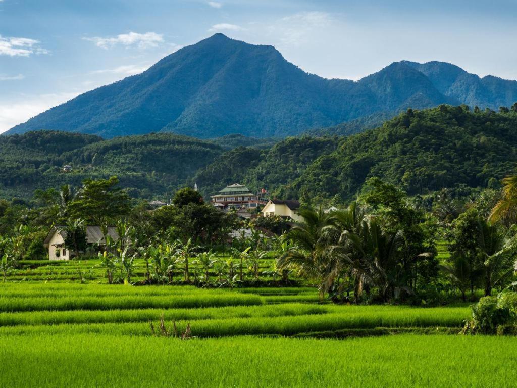 The Mirah Hotel Bogor Bagian luar foto